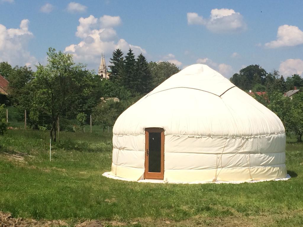 Bagolyvar Fogado- Ujfalusy Marton Vendeghaz Zirc Exteriör bild