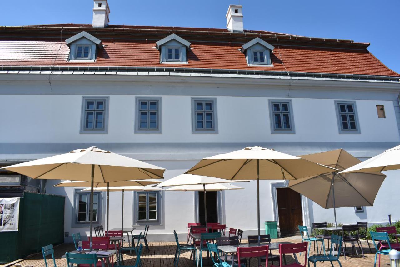 Bagolyvar Fogado- Ujfalusy Marton Vendeghaz Zirc Exteriör bild